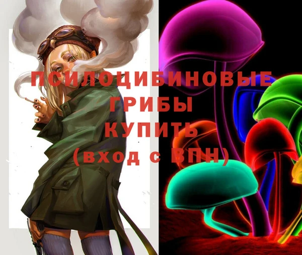 спиды Алексин