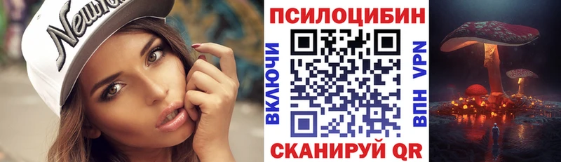 kraken ТОР  Приозерск  Псилоцибиновые грибы Magic Shrooms 